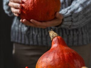 Zucca Uchiki Kuri semi