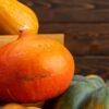 Zucca Uchiki Kuri semi