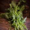 kaillan semi Kailaan Kichi / Gai Lan / Broccolo Cinese 100 Semi
