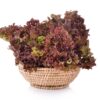 Lattuga Salad Bowl Rossa Semi