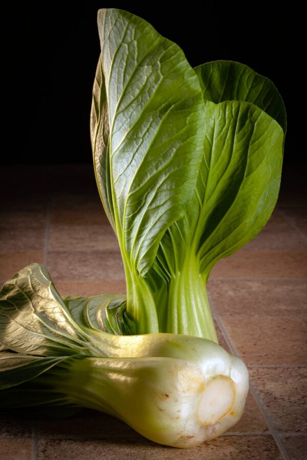 Pak Choi Bianco - Stelo Bianco semi