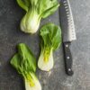 Pak Choi Bianco - Stelo Bianco semi