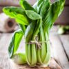 Pak Choi Bianco - Stelo Bianco semi