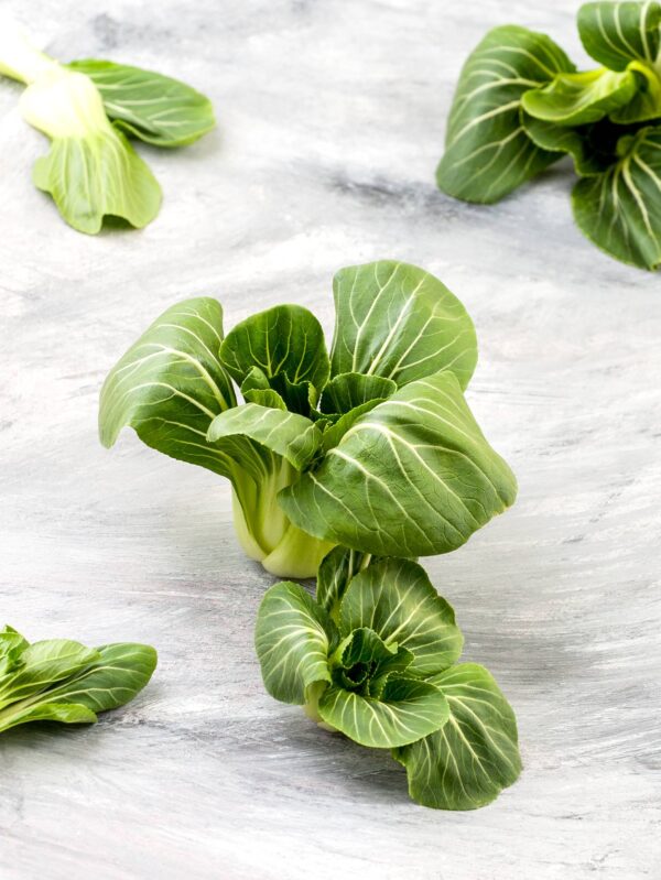 pak choi nano (2) Pak Choi Cantonese Bianco Nano (Baby) Semi