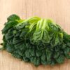 Tatsoi Rosette100 Semi