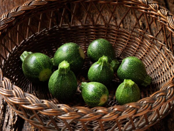 zucchino ronde de nice semi (2) Zucchino Tondo di Nice (Ronde de Nice) semi