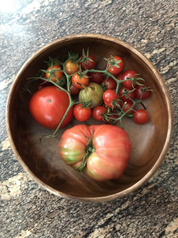 barbastr32 Pomodoro Antico di Barbastro semi