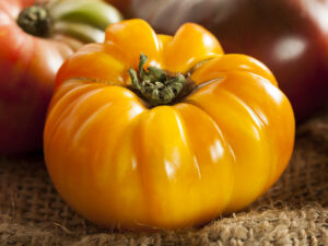 pomodoro azoychka Pomodoro Azoychka