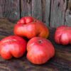 huelva1 Pomodoro antico della Huelva semi