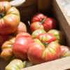huelva2 Pomodoro antico della Huelva semi