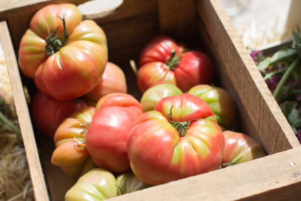 huelva2 Pomodoro antico della Huelva semi