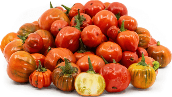 Melanzana Rossa di Rotonda semi
