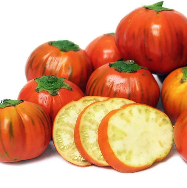 Melanzana Rossa di Rotonda semi
