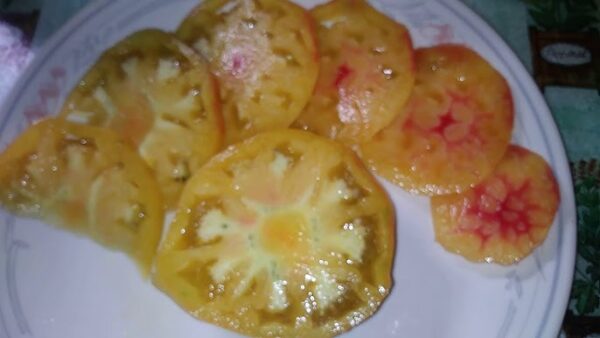 poan1 Pomodoro Ananas Semi