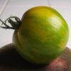 Pomodoro Green Zebra semi