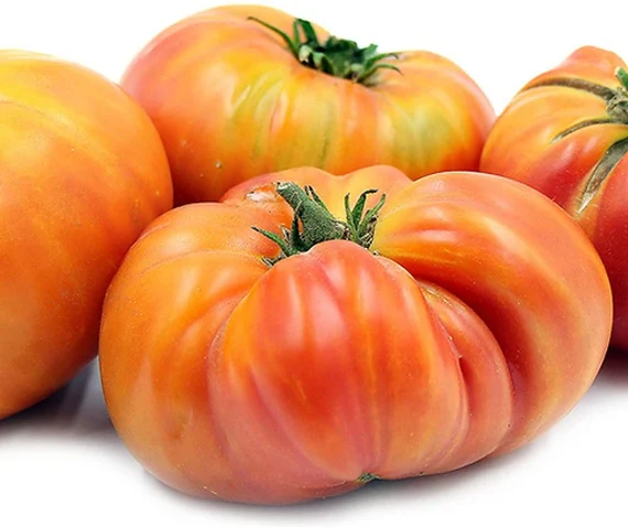 Pomodoro Hillbilly