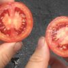 Pomodoro Siberiano semi