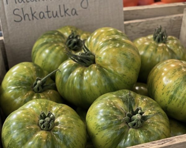 Screenshot Pomodoro Malakhitovaya Shkatulka semi