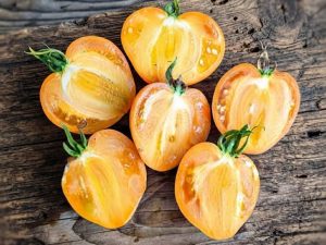 amis Pomodoro Amish Orange Semi