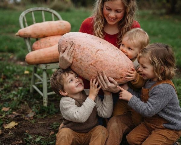 bana1 Zucca Pink Banana semi