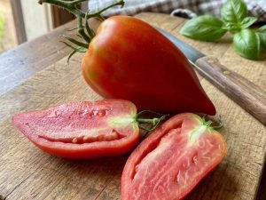 coan1 Pomodoro Cornuto delle Ande Semi