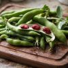 favr1 Fava Rossa semi