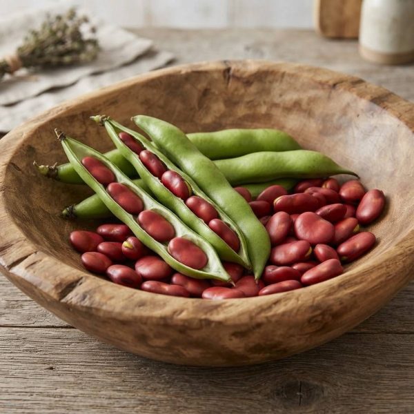favr2 Fava Rossa semi
