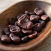 favr3 Fava Rossa semi