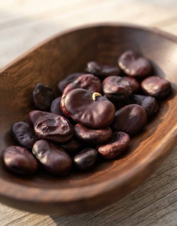 favr3 Fava Rossa semi