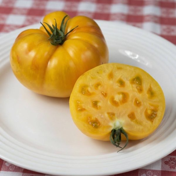 Pomodoro Yellow Mortgage Lifter Semi