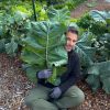 Kale Cavolo Chou Moullier semi