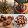 tas1 Pomodoro Tasmanian Chocolate Semi