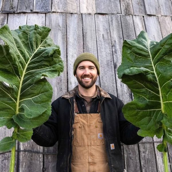 Cavolo Kale Thousand Heads semi
